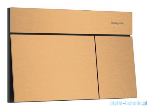 Hansgrohe iFrame Original E Przycisk spłukujący brąz szczotkowany 66003140