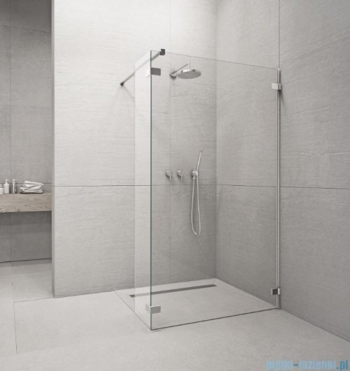 Radaway Euphoria Walk-in II kabina 100cm szkło przejrzyste