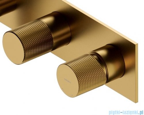 Omnires Contour system prysznicowy podtynkowy złoto szczotkowane SYSCT10GLB