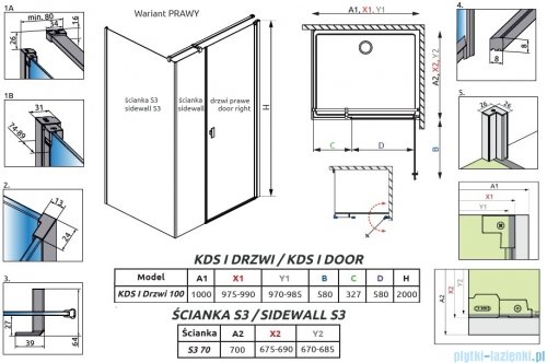 Radaway Nes 6 Kds I Brushed Light Gold kabina 100x70cm prawa szczotkowane jasne złoto 10023100-98-01R/10043070-98-01