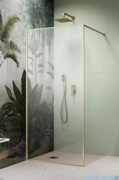 Radaway Modo F II Brushed Gold kabina Walk-in 55x201cm Szczotkowane Złoto  szkło przejrzyste 10409055-99-01