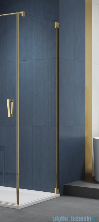 SanSwiss Cadura Gold Line ścianka boczna 110x200cm profile złote CAT11101207