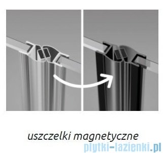 Radaway Furo SL Black KDD kabina 120x80cm czarny mat/szkło przejrzyste 10305120-54-01L/10305080-54-01R