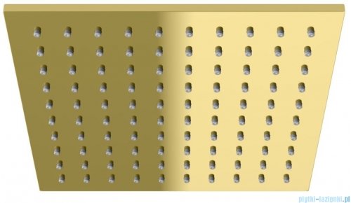 Kohlman Experience Gold deszczownica kwadratowa 30x30cm złoty połysk Q30EGD