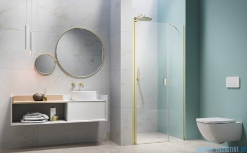 Radaway Nes Brushed Light Gold Dws Drzwi wnękowe 110cm lewe szczotkowane jasne złoto szkło przejrzyste 10028110-98-01L