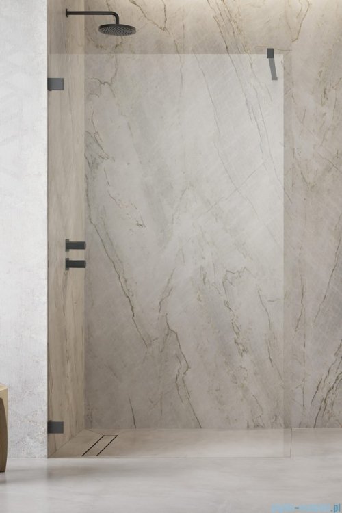 Radaway Essenza Pro Brushed GunMetal 160x200 kabina Walk-in szczotkowany grafit 10103160-92-01 
