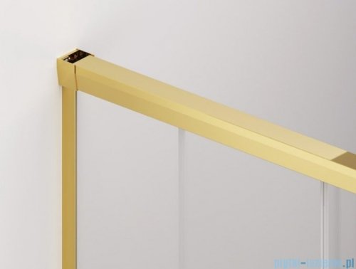 SanSwiss Cadura Gold Line drzwi przesuwne 100cm jednoskrzydłowe lewe z polem stałym CAE2G1001207