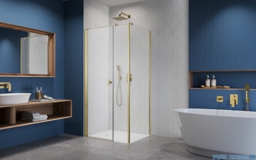 Radaway Nes Kds I Brushed Gold kabina 100x70cm lewa szczotkowane złoto 10023100-99-01L/10043070-99-01