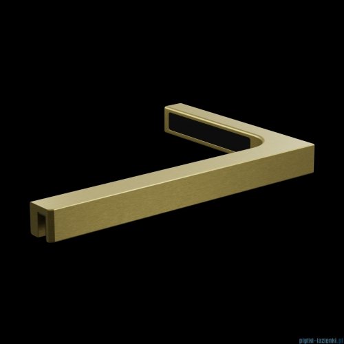Radaway Nes DWD II Brushed Gold drzwi wnękowe 170cm W2 szczotkowane złoto 10037093-99-01/10041077-99-01