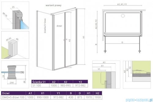 Radaway Eos II DWD+S Kabina 100x100 prawa szkło przejrzyste + brodzik Delos C + syfon 3799492-01/3799412-01L/SDC1010-01