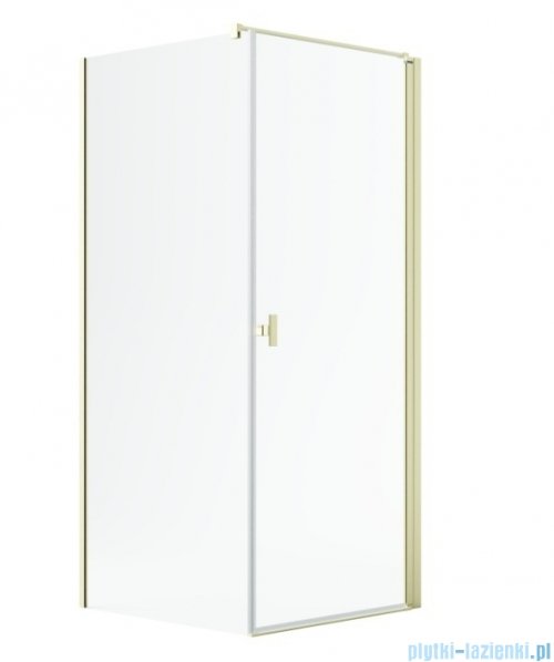 Radaway Nes 6 Kdj I Brushed Light Gold kabina 100x70cm prawa szczotkowane jasne złoto 10022100-98-01R/10039070-01-01