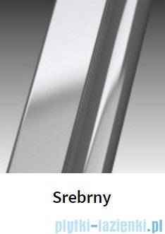 Novellini Drzwi prysznicowe przesuwne LUNES P 126 cm szkło przejrzyste profil srebrny LUNESP126-1B