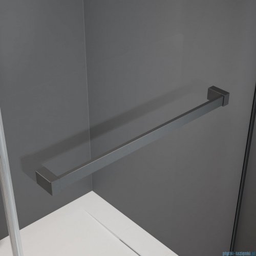 Radaway Essenza Pro Brushed GunMetal Kdj kabina 100x120cm lewa szczotkowany grafit 10097100-92-01L/10098120-01-01