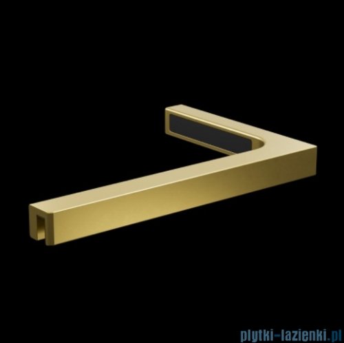 Radaway Nes Brushed Light Gold Dws Drzwi wnękowe 120cm prawe szczotkowane jasne złoto szkło przejrzyste 10028120-98-01R