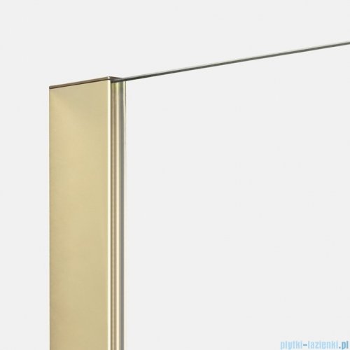 New Trendy Nesta Light Gold kabina Walk-In 80x200 cm złoty połysk K-1731