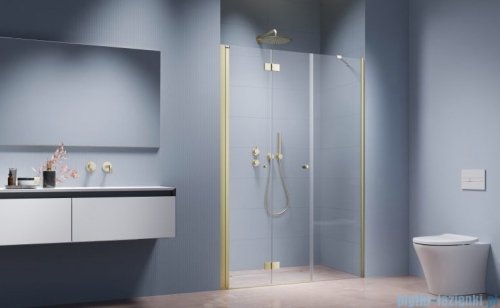 Radaway Nes Brushed Light Gold DWSB Drzwi wnękowe 110cm W1  lewe szczotkowane jasne złoto szkło przejrzyste 10044850-98-01L/10045250-01-01
