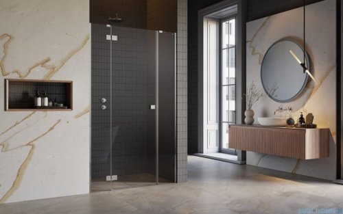 Radaway Essenza Dwjs drzwi wnękowe 120cm lewe szkło przejrzyste 1385031-01-01L/1384090-01-01
