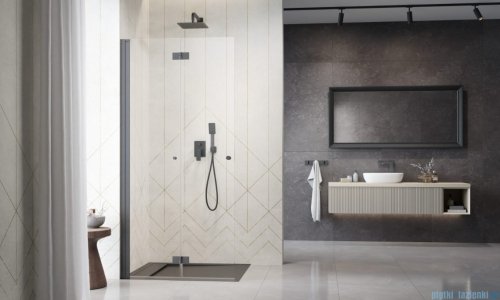 Radaway Nes 6 Brushed GunMetal KDD B kabina walk-in 100cm lewa szczotkowany grafit szkło przejrzyste 10024100-92-01L