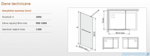Sanplast Free Line II P/FREEII Kabina walk-in 100x200 cm przejrzyste 600-261-0440-42-401