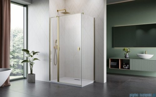 Radaway Nes Kdj II Brushed Gold kabina 120x75cm lewa szczotkowane złoto 10032120-99-01L/10039075-01-01
