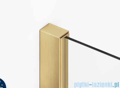 Ronal ANNEA AN13 Drzwi jednoczęściowe ze ścianką stałą w linii 120x200cm prawe złoto szczotkowane AN13D12001307