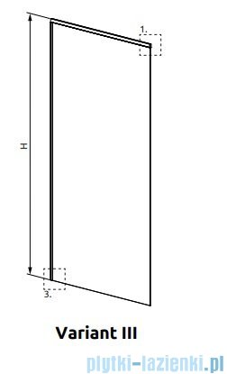 Radaway Modo XL Black kabina Walk-in 30-100×250-300 szkło przejrzyste 10mm 389405-54-01