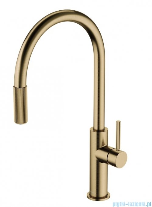 Omnires Switch bateria kuchenna z wyciąganą wylewką do podłączenia zestawu filtrującego brąz antyczny szczotkowany SW9059BR