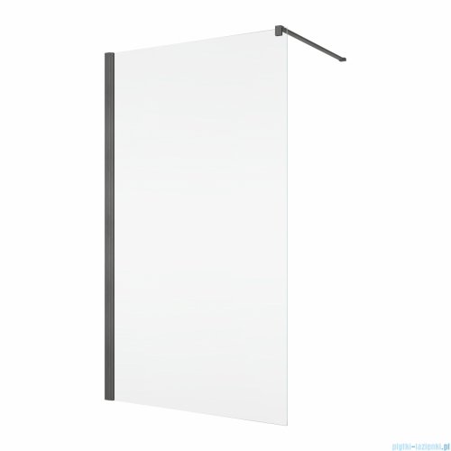 Ronal ANNEA ANT1 Gunmetal Szczotkowany Ścianka wolnostojąca Walk-in 90x200 cm z profilem przyściennym grafit szczotkowany ANT109002607