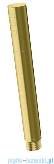 Kohlman Experience Brushed Gold zestaw prysznicowy z deszczownicą kwadratową 25x25 cm złoto szczotkowane QW210EGDBQ25
