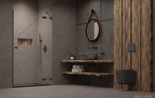 Radaway Essenza Pro Brushed GunMetal Dwj drzwi wnękowe 120cm prawe szczotkowany grafit 10099120-92-01R