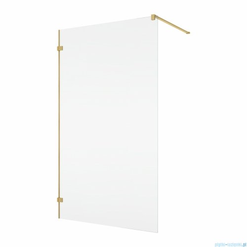 Ronal ANNEA ANTW1 Ścianka wolnostojąca Walk-in 80x200 cm z uchwytem kątowym złoto szczotkowane ANTW108001307