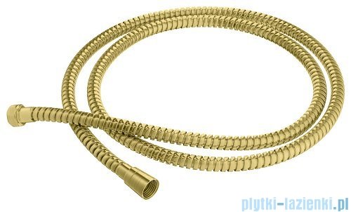 Kohlman Experience Brushed Gold zestaw prysznicowy z deszczownicą 30 cm złoto szczotkowane QW210EGDBR30