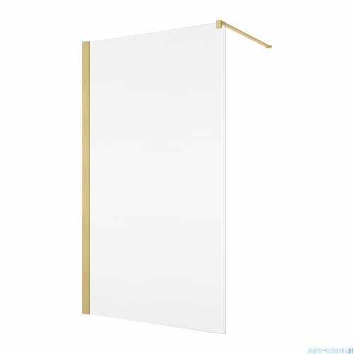 Ronal ANNEA ANT1 Ścianka wolnostojąca Walk-in 80x200 cm z profilem przyściennym złoto szczotkowane ANT108001307