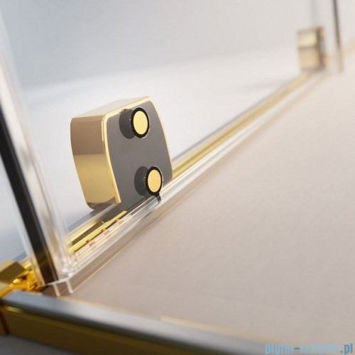 Radaway Furo Gold DWJ drzwi prysznicowe 100cm lewe szkło przejrzyste 10107522-09-01L/10110480-01-01