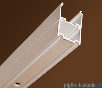 Ravak Blix BLRV2K drzwi prysznicowe 1/2 100cm aluminium grape Anticalc 1XVA0C00ZG