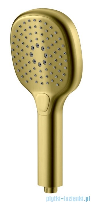 Kohlman Axel Brushed Gold zestaw prysznicowy złoto szczotkowane QW260AGDBR25