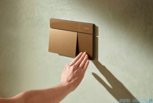 Hansgrohe iFrame Original E Przycisk spłukujący czarny mat 66003670