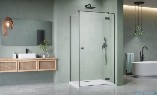 Radaway Essenza Kdj Brushed GunMetal kabina 120x70cm prawa szczotkowany grafit 1385042-92-01R/1384048-01-01