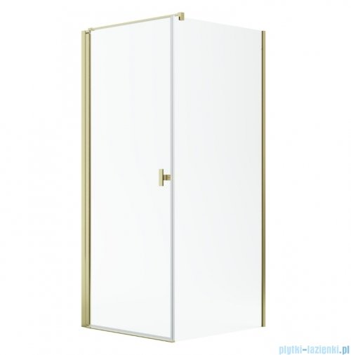 Radaway Nes Kdj I Gold kabina 80x100cm lewa złoty połysk 10022080-09-01L/10039100-01-01