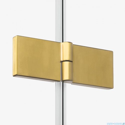 New Trendy Nesta Gold Brushed kabina 120x120x200 cm prawa wspornik równoległy złoto szczotkowane/szkło przejrzyste K-4459