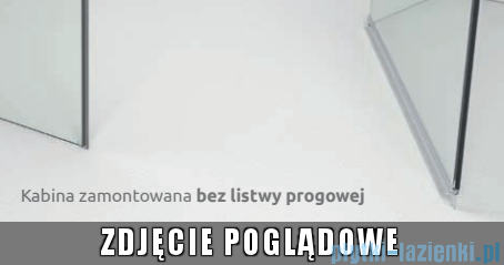 Radaway Nes Brushed Nickel DWSB drzwi wnękowe 120cm W4 lewe szczotkowany nikiel szkło przejrzyste 10044650-91-01L/10045550-01-01