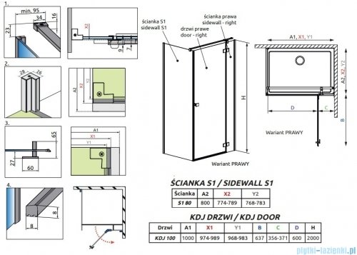 Radaway Essenza 8 Brushed Nickel Kdj kabina 100x80cm prawa szczotkowany nikiel 10480612-01-01R/10470337-91-01R/10113080-01-01
