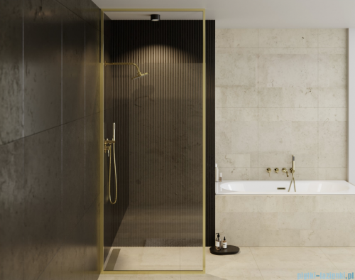 Besco Icon Gold 100x200cm kabina walk-in Złoty połysk/szkło  przejrzyste ICG-100-200C