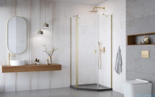 Radaway Nes Brushed Gold Ptj kabina pięciokątna 100x80cm lewa złoto szczotkowane 10052000-99-01L/10052200-99-01 