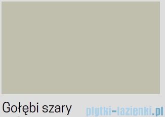 Novellini Skill 2A kabina z hydromasażem prawa gołębi szary 100x80 SKIA109DT1F-1AN2