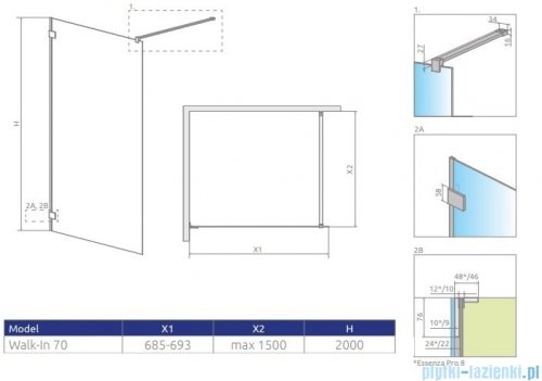 Radaway Essenza Pro 8 Gold 70x200 kabina Walk-in złoty połysk/szkło przejrzyste 1012070-09-01