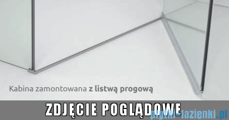 Radaway Essenza Pro Brushed Nickel Pdd kabina 80x100cm szczotkowany nikiel 10095080-91-01L/10095100-91-01R