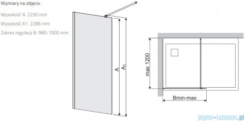 Sanplast Space Wall P/SPACEWALL-XL kabina walk-in 100x228 cm czarny matowy 600-320-3140-59-401