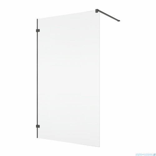 Ronal ANNEA ANTW1 Gunmetal Szczotkowany Ścianka wolnostojąca Walk-in 100x200 cm z uchwytem kątowym grafit szczotkowany ANTW110002607