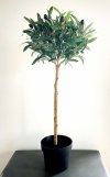 Drzewko oliwne - wys. 73 cm